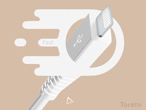 Data Transfer Lightning Cable