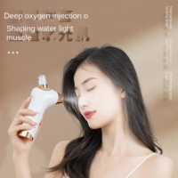 Mini Oxygen Injection Instrument Deep Nutritional SPA for the Skin